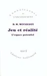 Jeu et Réalité : L'espace potentiel vignette