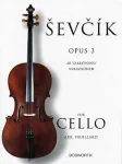 40 variations, op. 3 : for cello vignette