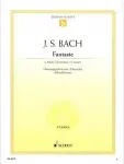 Fantasie c-Moll